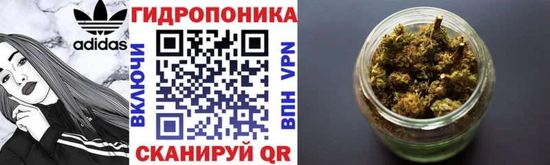 Бошки марихуана THC 21% Бакал